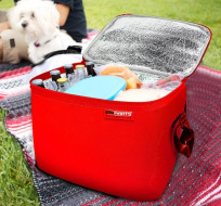 Termotaška 15 litrů (22 cmx25 cmx24 cm) Einparts - červená